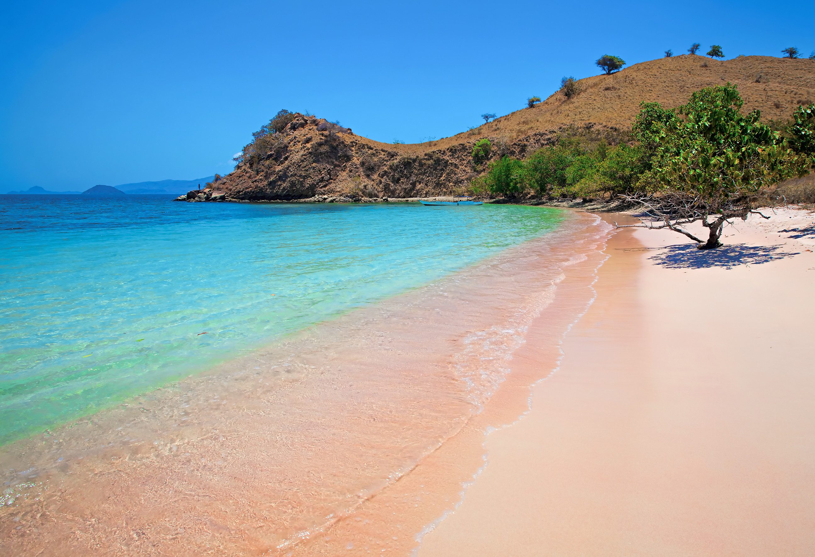Pink Beach in het Komodo National Park in Indonesie